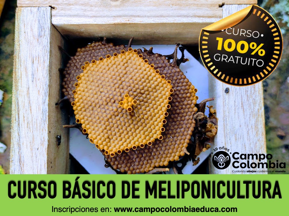 Curso Básico de Meliponicultura