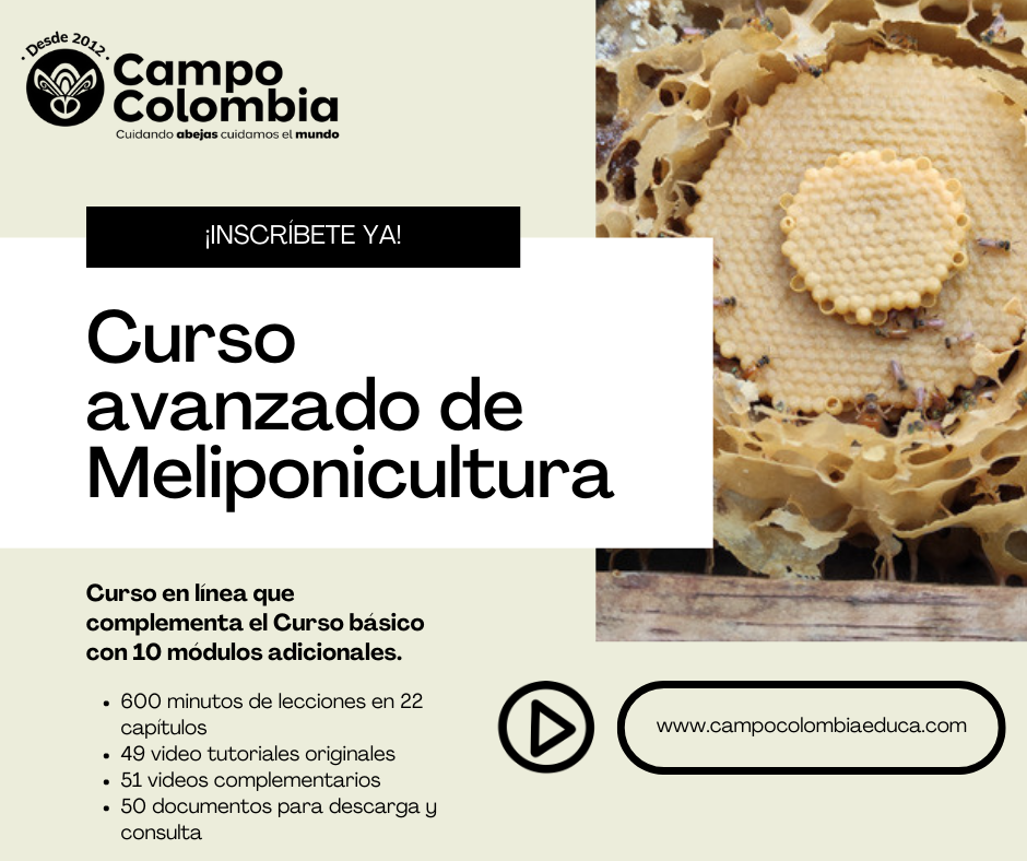 Curso Avanzado de Meliponicultura